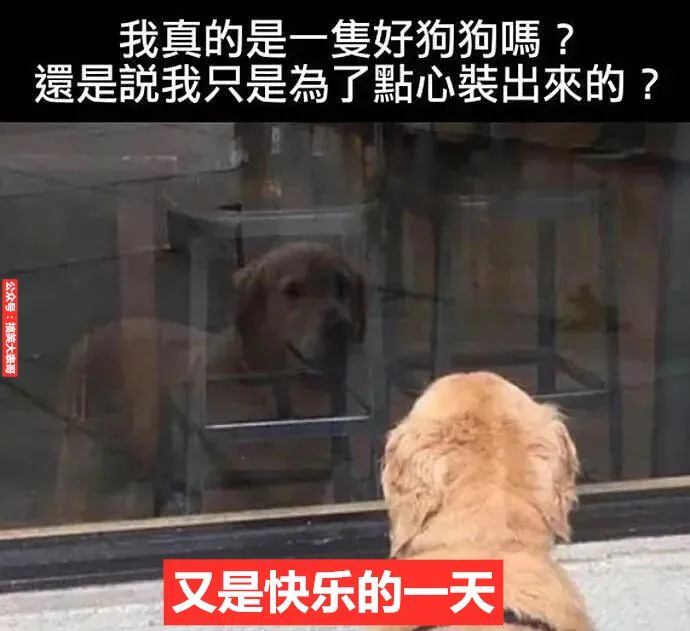 岛国老诗，你能认出几个来？