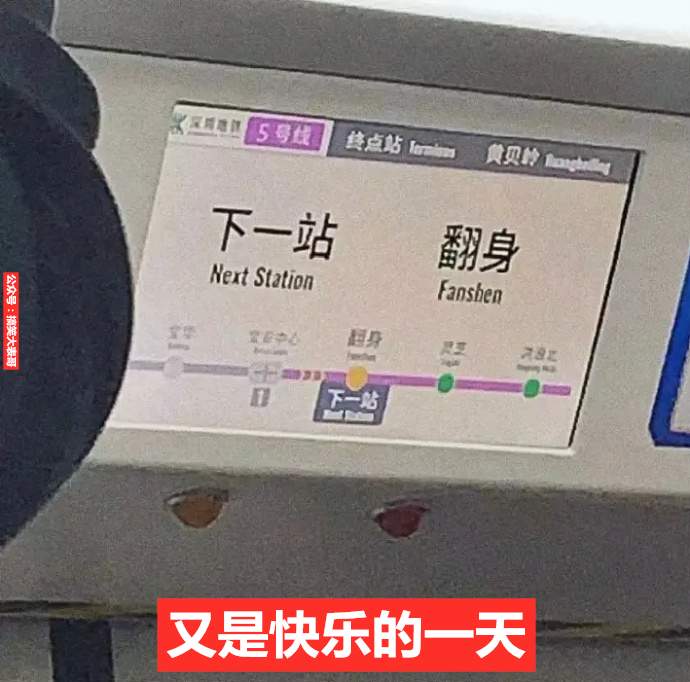 ​老师这次是同事还是上司？